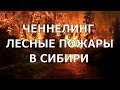 🌍Послание от Духа Планеты о лесных пожарах в Сибири 2019. Голосовой ченнелинг.