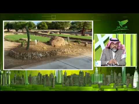 قضية للحوار استغلال المساحات الهندسية في البيئة واهمية المساحات الخضراء