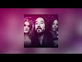 Steve Aoki & Icona Pop - I Love My Friends (Armin van Buuren & Avian Grays Remix) [Visualizer]