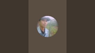 Sungai Amazon : Reality predator fact , amazon jungle | 2025