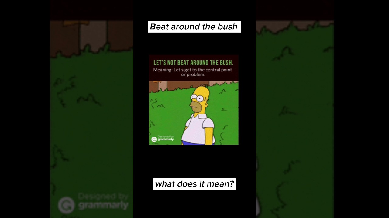 Beat around the bush... what does it mean?