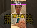 【クイズ】「蒲公英」何と読む？ #shorts