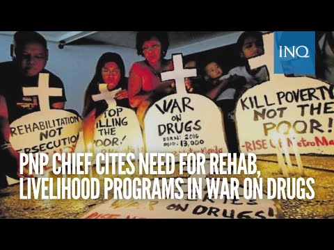 PNP chief cites need for rehab, livelihood programs in war on drugs