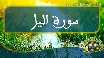 سورة اليل تلاوة خاشعة للقارئ احمد شاكر حفيان