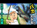 バカでもわかる！スカーナー対策
