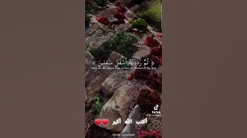 سورة التين بصوت جميل .....؟؟😱💙