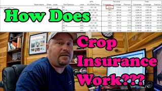 How Crop Insurance Works