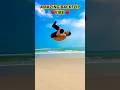 Amazing sea Beach Backflip #song #fun #fitness #beach #odisha