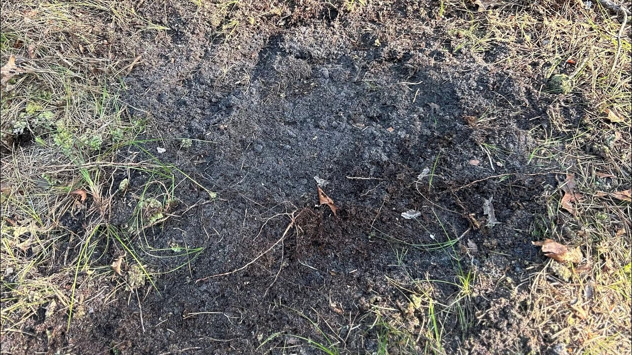 Tips for making a mock scrape