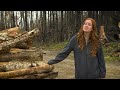 Trees scorched by wildfires given new life in home builds