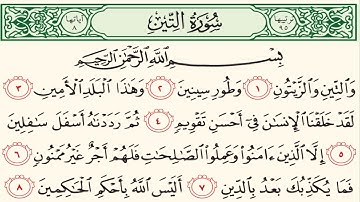 سورة التين بصوت الشيخ محمد أيوب 95 Surah At-Teen