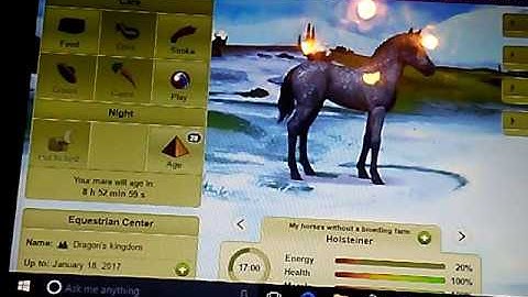 How to BLUP Holsteiners ~ Howrse Part 1