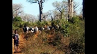 MIKEA-Longo raty (Theo Rakotovao)