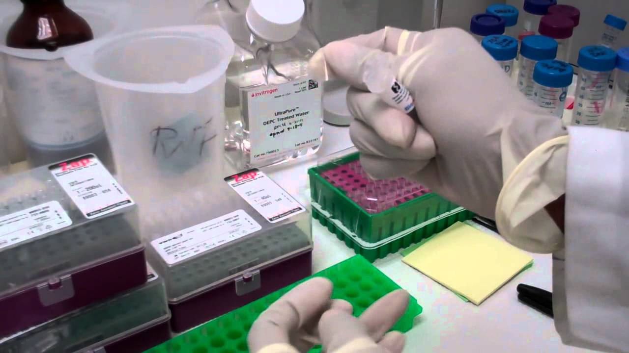 Breathe EASY Membranes YouTube