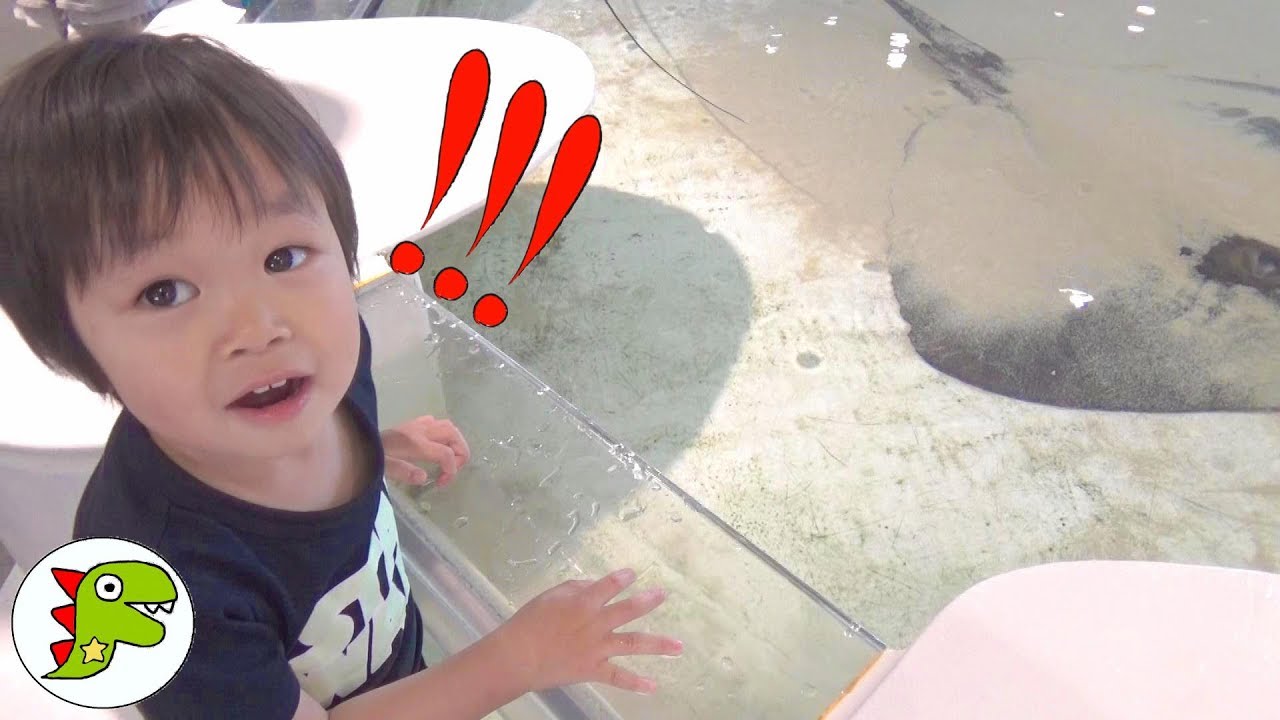 おでかけ 海遊館に行ったよpart２❤水族館 Toy Kids トイキッズ