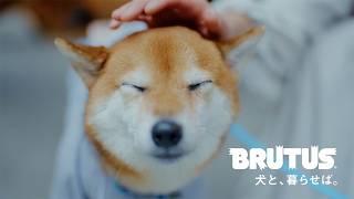 【犬と、暮らせば。】刺繍作家・小菅くみさんが、ひと針ごとに込める犬への愛。