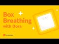 Box Breathing Exercise Quiz