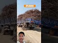 Loading truck ko Kali karne ka Jugaad Banaya hai #farming #viralvideo #vlog #truck #youtube #loading