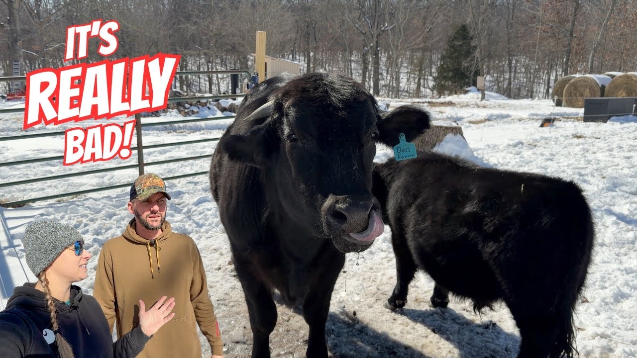 It's the WORST We've EVER Seen!!