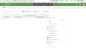 Quick Video fieldbook web form created from database