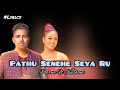 Pathu senehe seya ru  lyrics  poorna sachintha ft kushani sandarekha