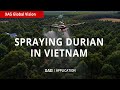 Application  how to spray durian orchard with xag p100 drone