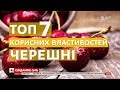 Покращує настрій і запобігає хворобам: топ корисних властивостей черешні