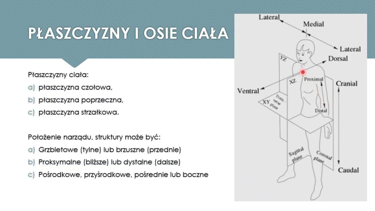Wykład 1 Ratownictwo