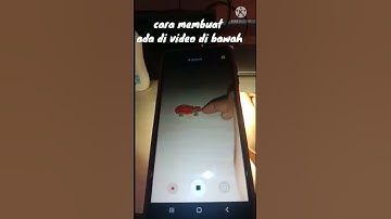 cara membuat video stop motion