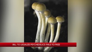 Bill to legalize psychedelic mushrooms fails to pass