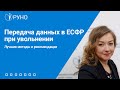 Передача данных в ЕСФР при увольнении | Анастасия Крысанова. РУНО