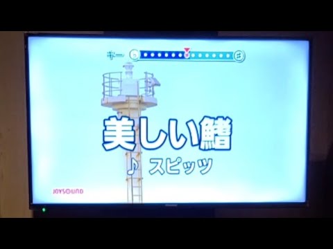 【歌ってみた】スピッツ「美しい鰭」