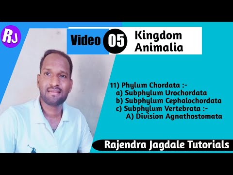 Kingdom Animalia/Biology for NEET/11th biology