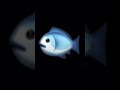 🐟