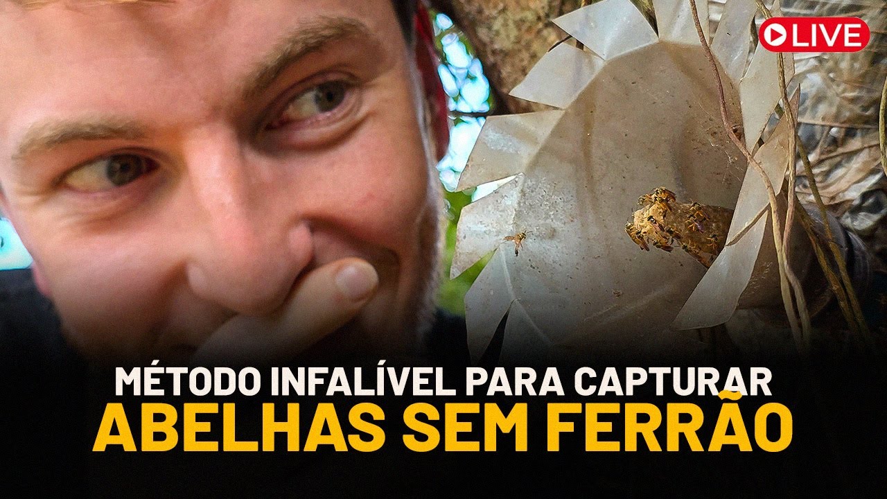 Sua PRIMEIRA CAPTURA de ASF em até 20 DIAS (MÉTODO OPC)