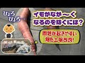 細長イモを作らない土つくり！　芋の形が乱れる畑の共通点とは・・・　たねのハシモトミヤ