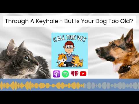 Through A Keyhole - But Is Your Dog Too Old?