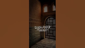 أفمن كان مسلما كمن كان فاسقا لا يستون || القارئ: اسلام صبحي
