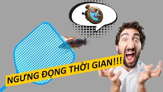 #254 Vì Sao Đập Ruồi Lại KHÓ? | Súc Động Vật #12