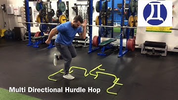 Multi Directional Hurdle Hop