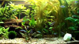 DSCF1324.AVI