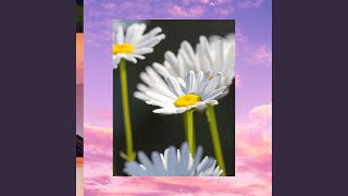 Download Lagu Sampe goreng MP3