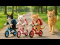 Mama Cat Works Hard Selling Bubble Yogurt to Buy a New Bicycle for Kitten 🐾🚲💖 | Heartwarming Story
