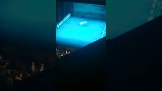 Супер Танец маленьких лебедей в Большом театре