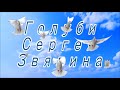 Прилетел тренер голубей (ястреб-тетеревятник)