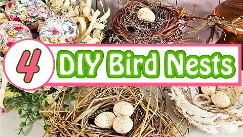 CREATIEVE manieren om vogelnesten te maken met unieke materialen!