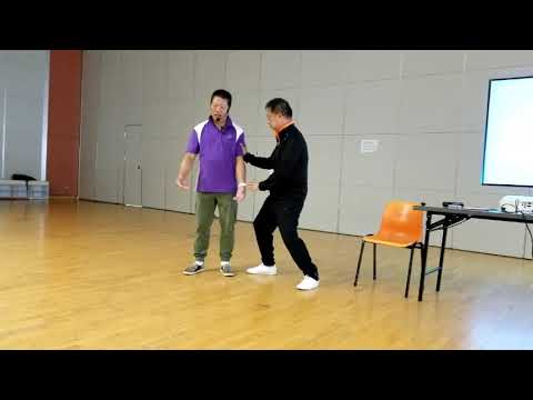 「李亦畬五字訣」講座示範—用重量抵消力量
