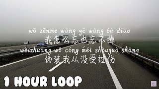 1 HOUR LOOP/一小时循环/한시간반복【都怪我-胡66】DOU GUAI WO-HU66Pinyins, 拼音歌词, 병음가사/No AD, 无广告, 광고없음