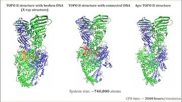 All-Atom Molecular Simulations of a Type II DNA... - Matic Pavlin - 3DSIG - Talk - ISMB/ECCB 2021