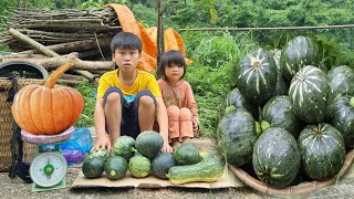 An orphan boy harvests pumpkins to sell  and has a filling meal   boy orphaned parents